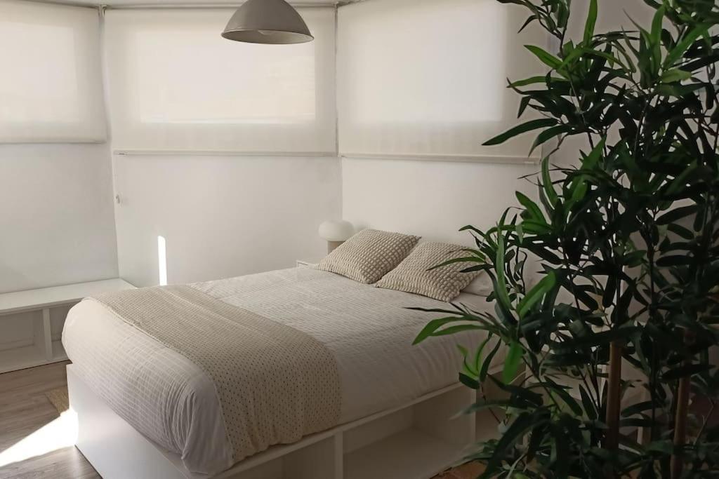 Appartement Salitre Malaga Center Extérieur photo